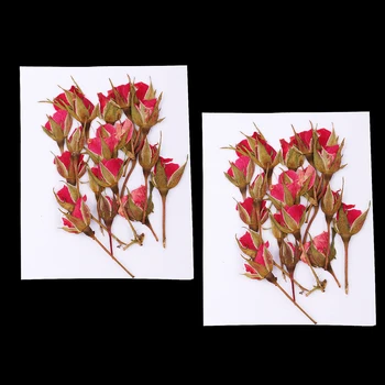 40 Darab Igazi Szárított, Préselt Virágok, Rózsa, a Művészet Kézműves DIY Szilikon Alátét Gyanta Formákat
