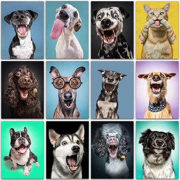 5D DIY Gyémánt Festmény kit Vicces állatok, kutya, macska Husky Teljes Négyzet&Kerek Gyémánt-mozaik hímzés, keresztszemes lakberendezés Művészet